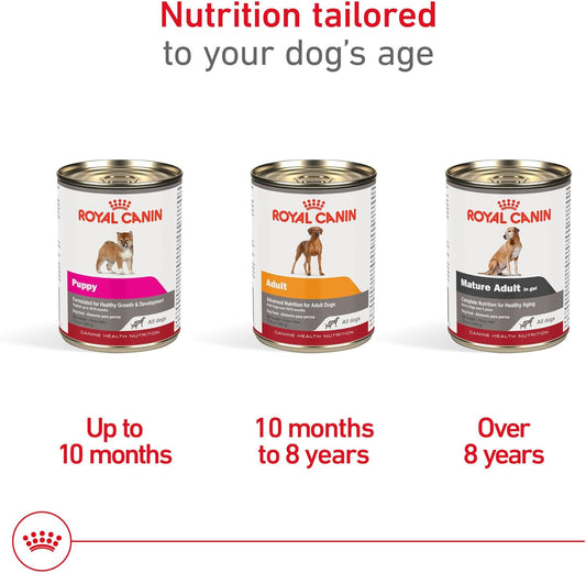 Royal Canin Canine Health Nutrition Adult In Gel Dog Food, 13.5 oz (Pack of 12)